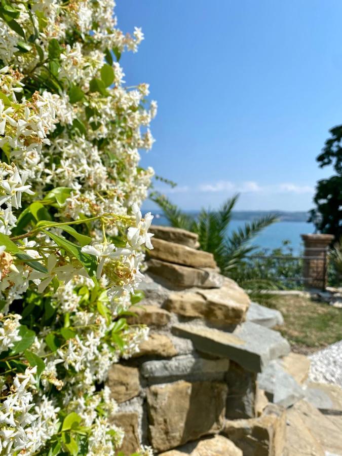 Sunvilla Koper Luaran gambar